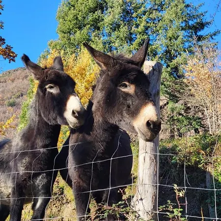 Antiche Atmosfere...