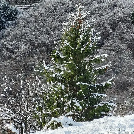 Antiche Atmosfere... * Borzonasca